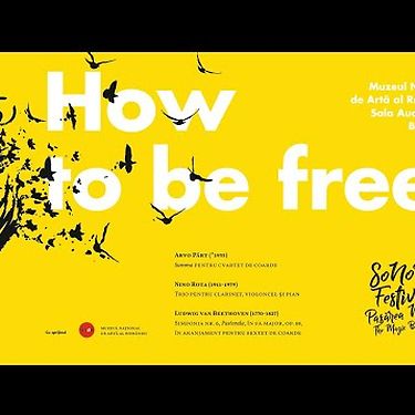 SoNoRo XV, 2020 - Concert live - București - HOW TO BE FREE
