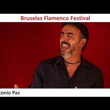 Bruselas Flamenco Festival: Antonio Paz | Concert | BOZAR