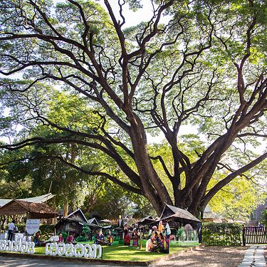 Atelier for Young Festival Managers Chiang Mai 2016