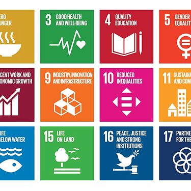 Takeaways from the EFA – Pearle “Culture and SDGs” webinar