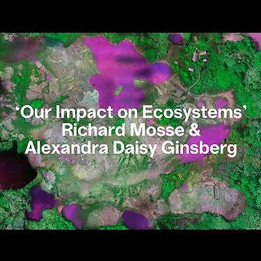 Our Impact on Ecosystems. Richard Mosse & Alexandra Daisy Ginsberg | Bozar