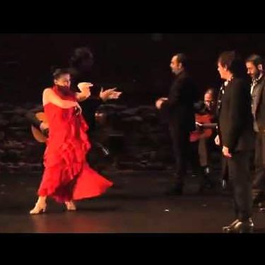 Vida - Noche Flamenca and Soledad Barrio