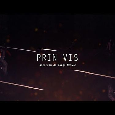 PRIN VIS | promo