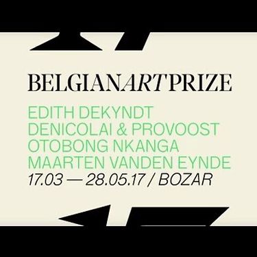 BelgianArtPrize 17 - Artist Portraits