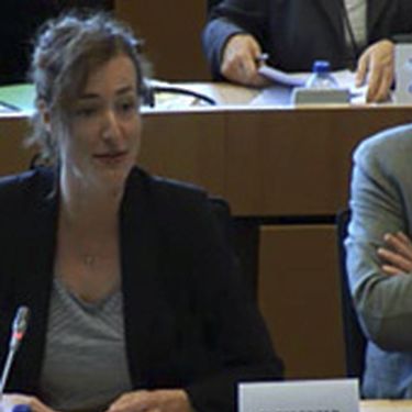 EFFE presented at the European Parliament