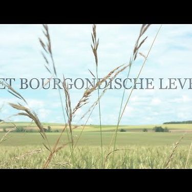 Het Bourgondische Leven - Documentary Utrecht Early Music Festival 2018