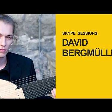 Skype Sessions: David Bergmüller