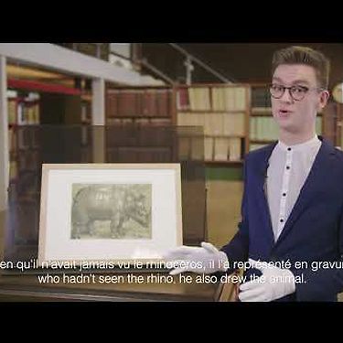 Curator Maarten Bassens on Dürer’s famous 'Rhinoceros' | Interview