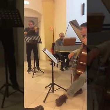 Il Trio Dario Luisi, Marco Vitale e Marc Vanscheeuwijck in concerto 16 Dicembre 2017
